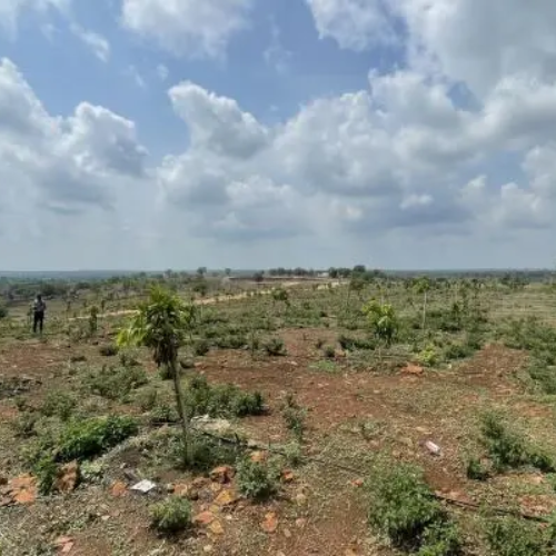 Kondapur (13)