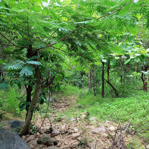 Kondapur (3)